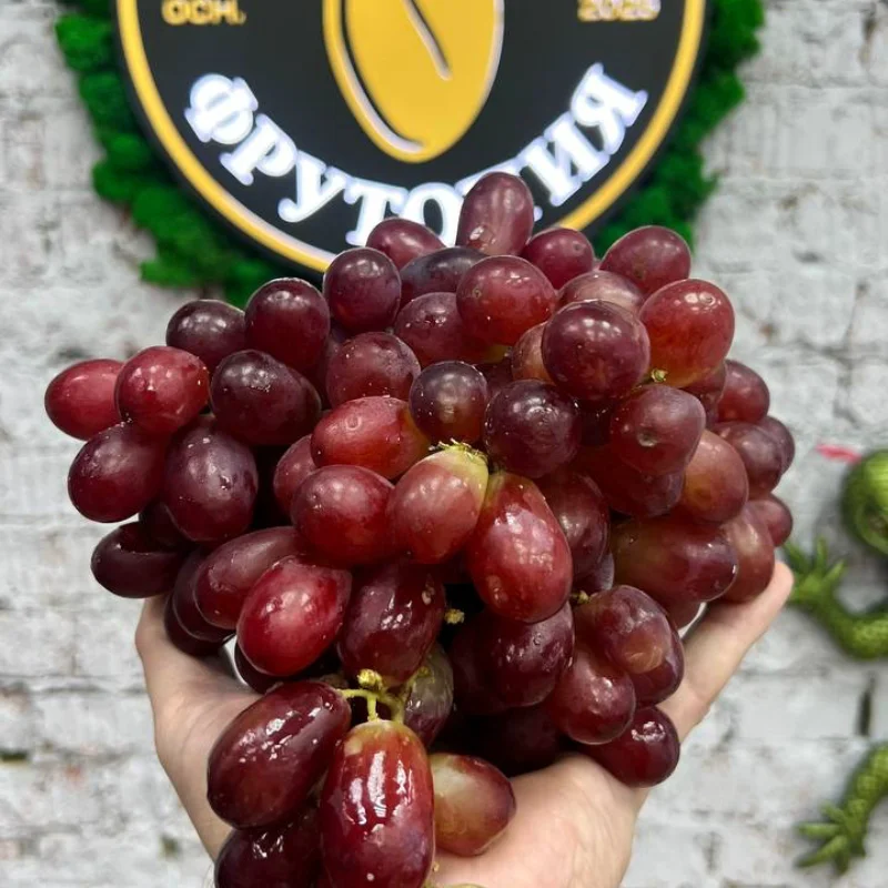 Виноград Рэд Глобал