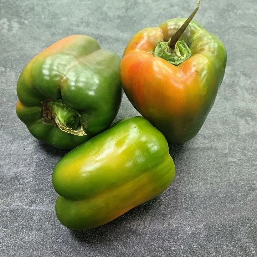 Перец болг. зеленый