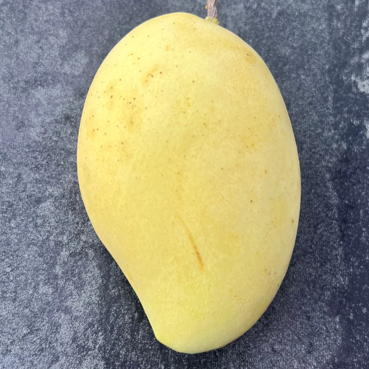 Манго Кат-чу