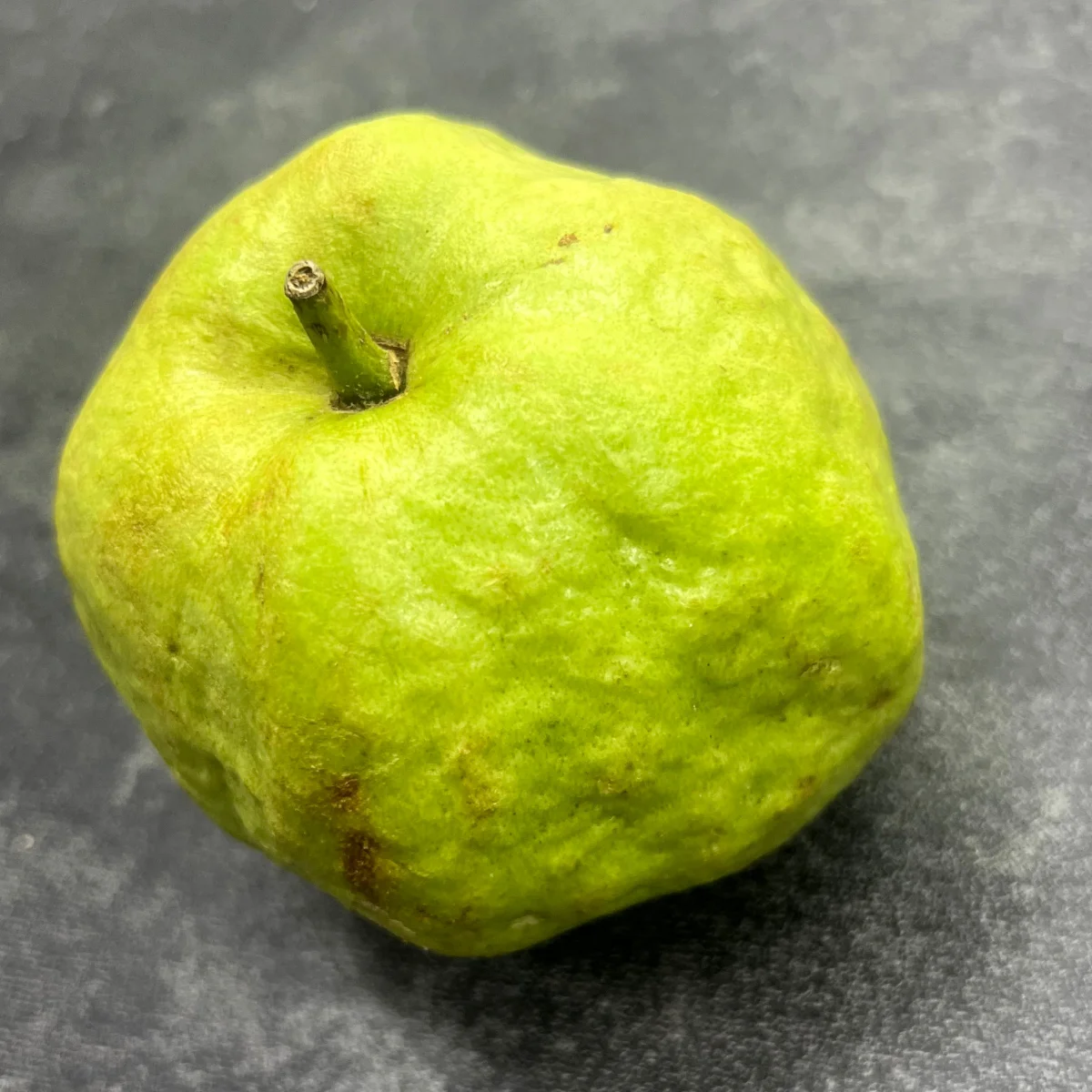 Гуава белая