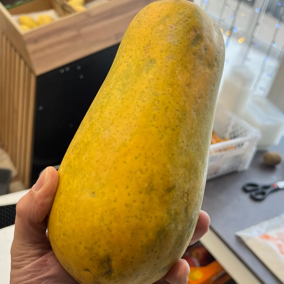 Папайя Холанд