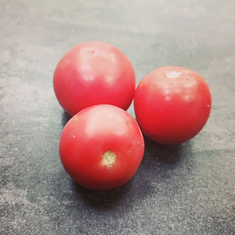 Томат розовый