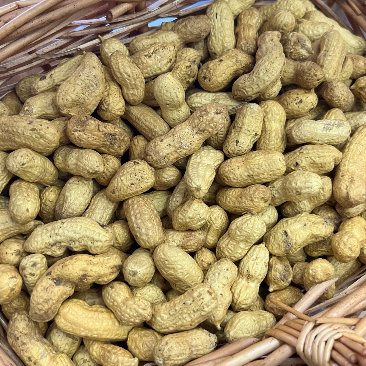 Арахис в скорлупе