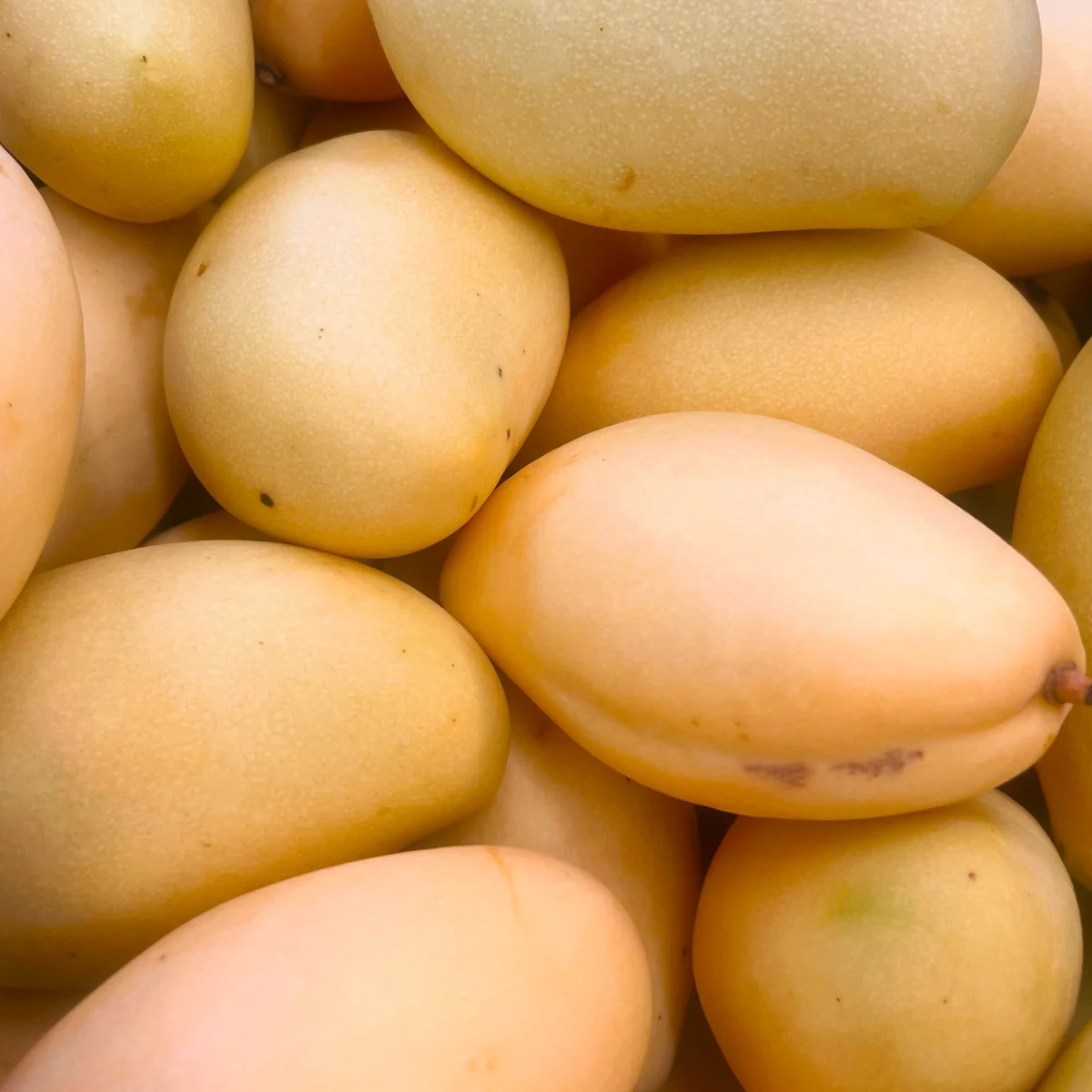 Манго желтое